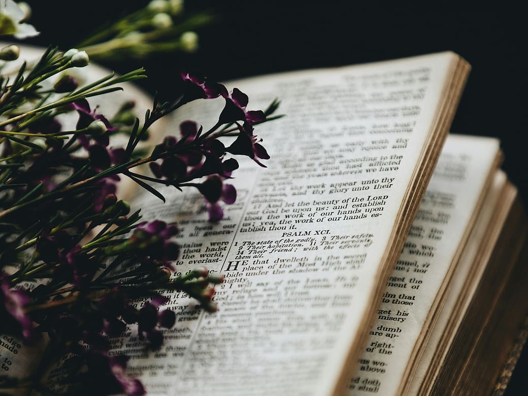 An open Bible with sprigs of purple flowers